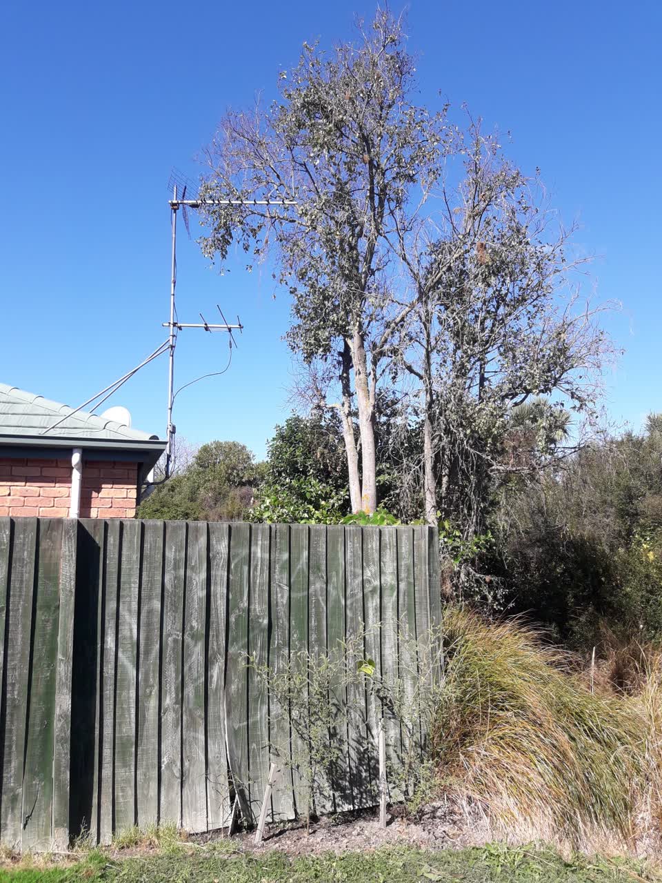 The photograph attached to this parks report