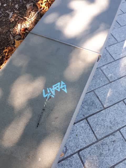 Graffiti, a report photo