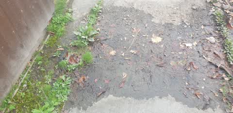 Water Leak, a report photo