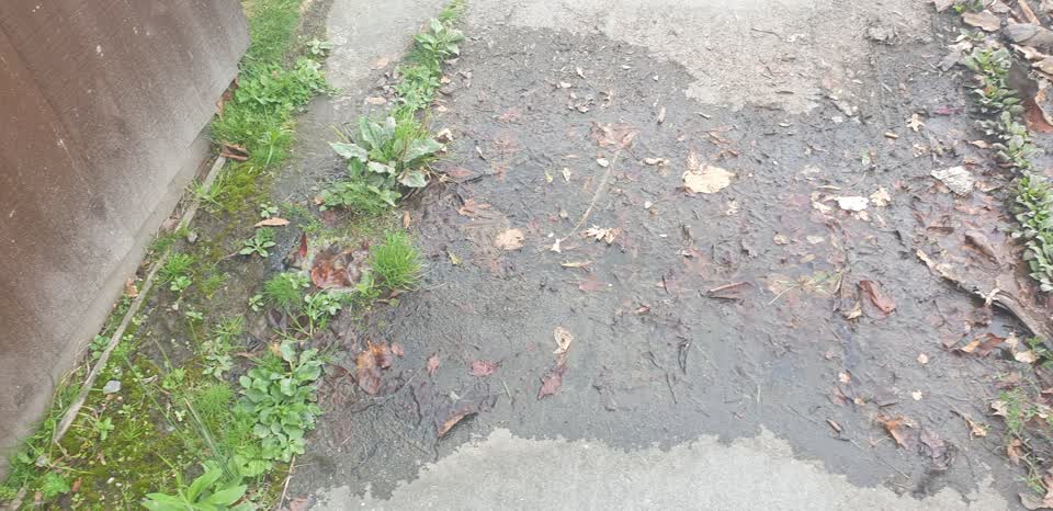 The photograph attached to this water leak report