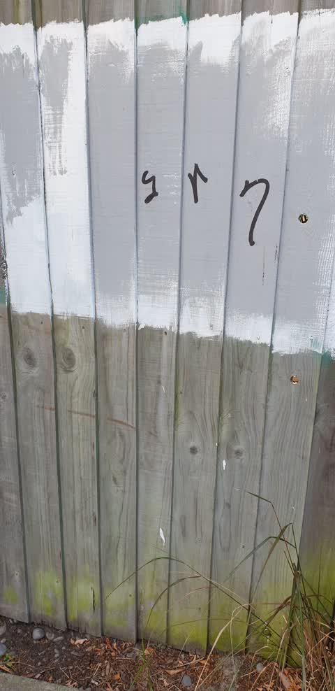 Graffiti — a report photo