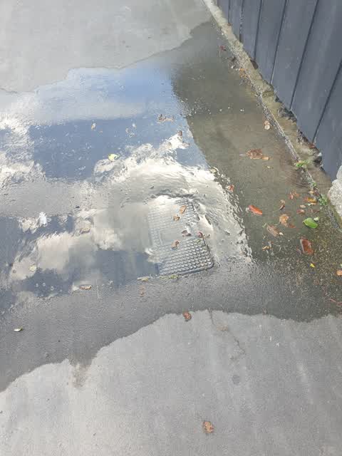 Water Leak, a report photo