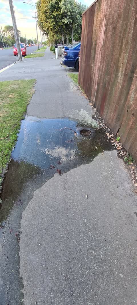 Water Leak, a report photo