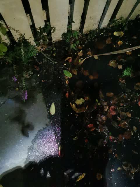 Water Leak, a report photo