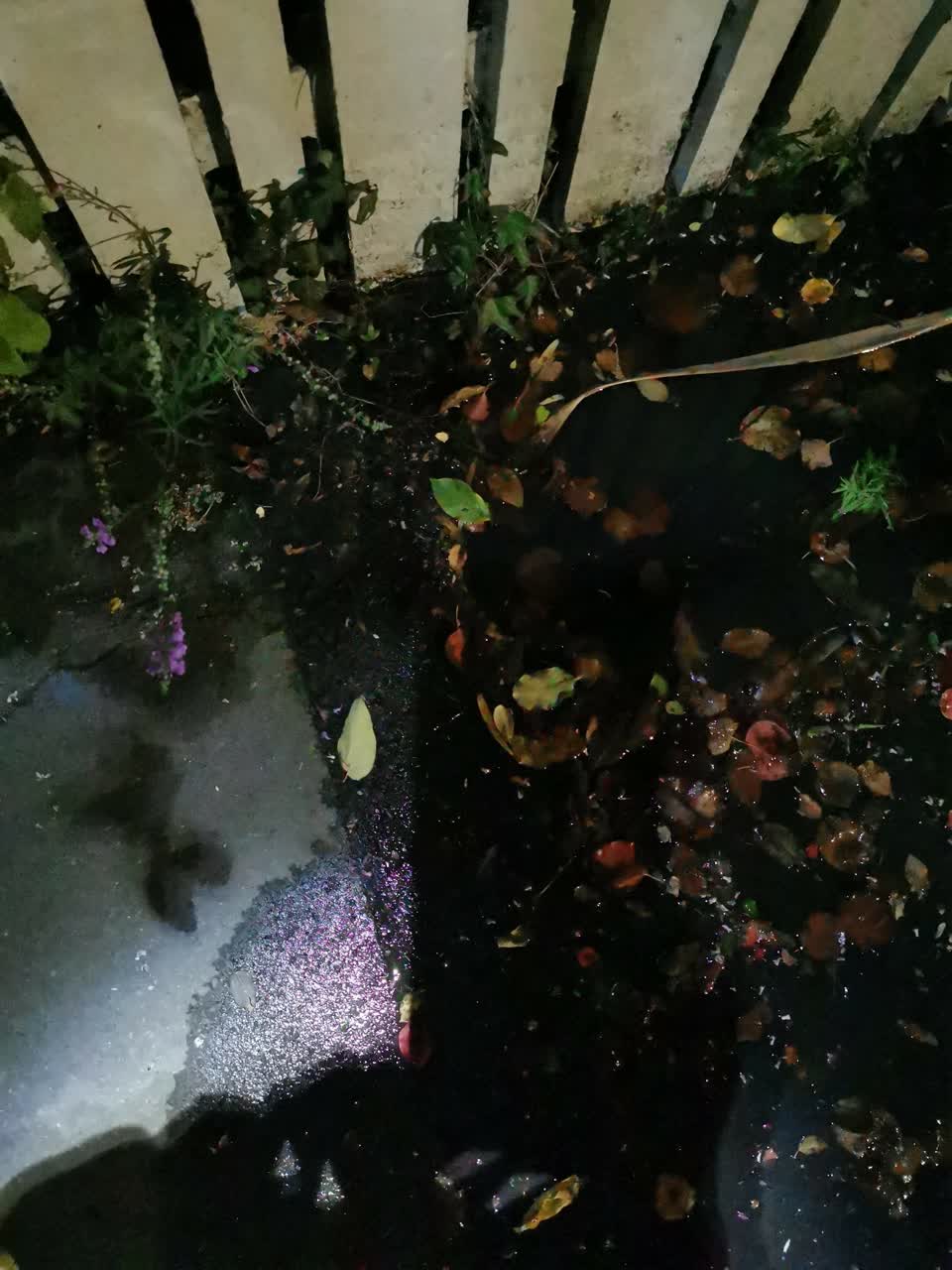 The photograph attached to this water leak report