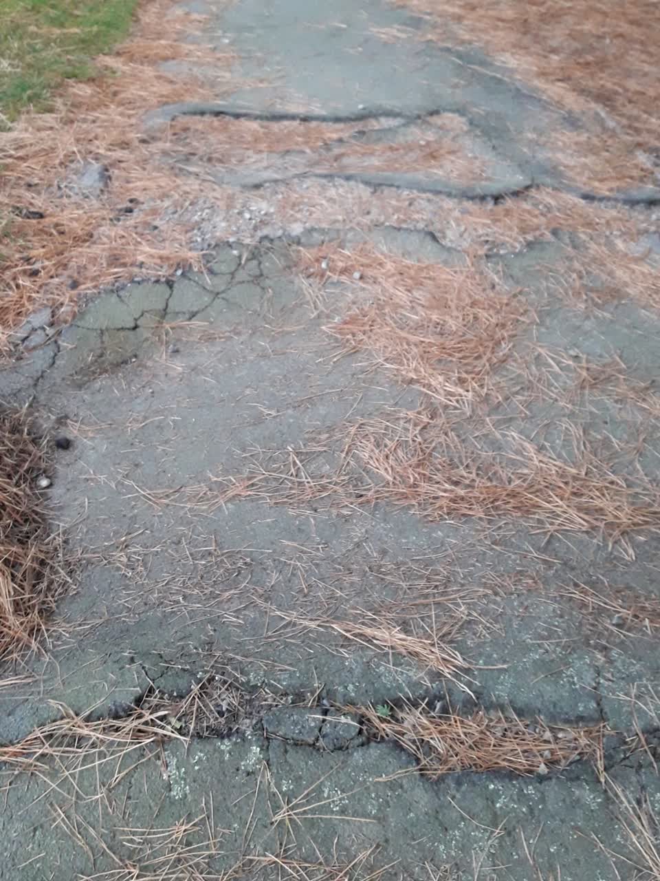 The photograph attached to this roading/streets report