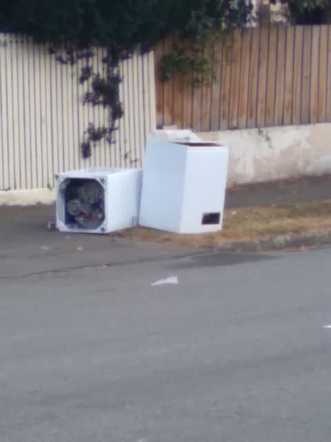 Rubbish/Recycling, a report photo
