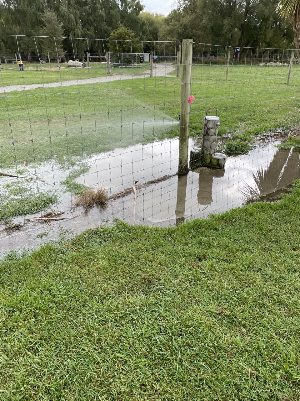 The photograph attached to this parks report