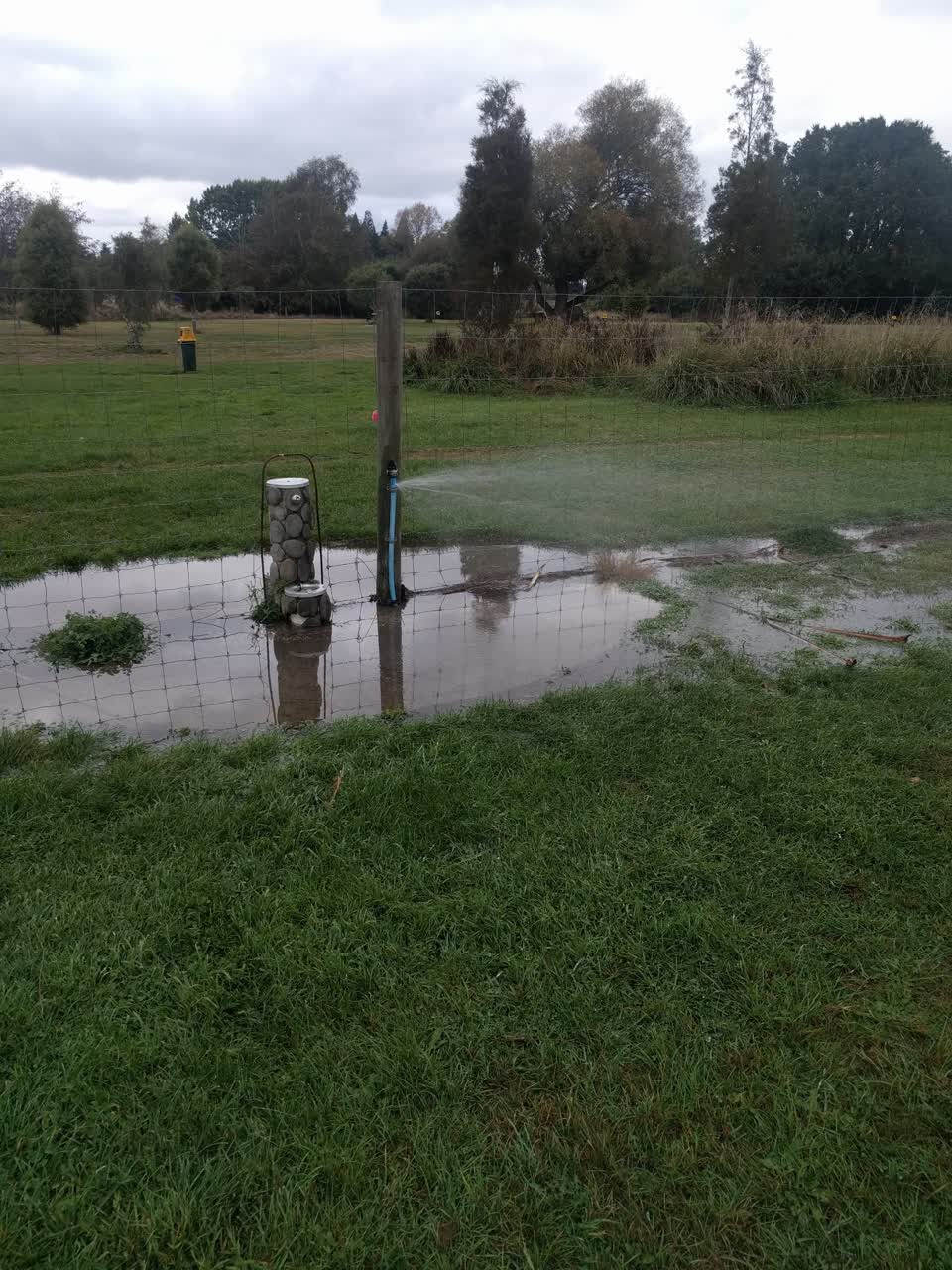 The photograph attached to this parks report
