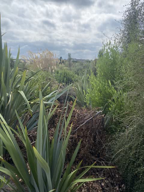 Parks, a report photo
