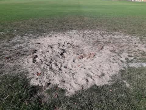 Parks, a report photo