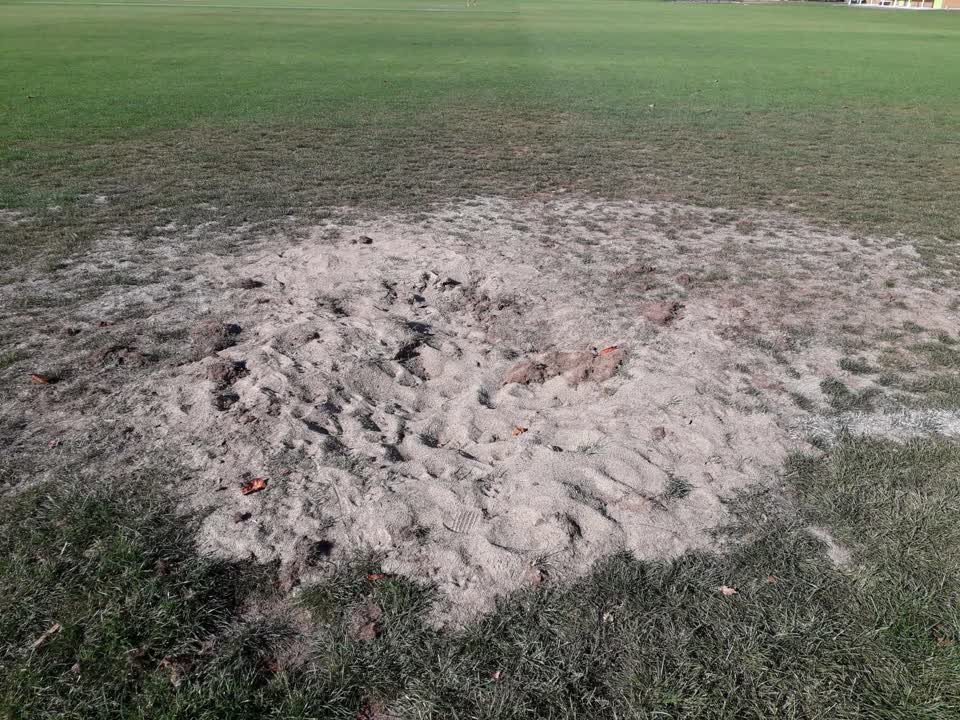 The photograph attached to this parks report
