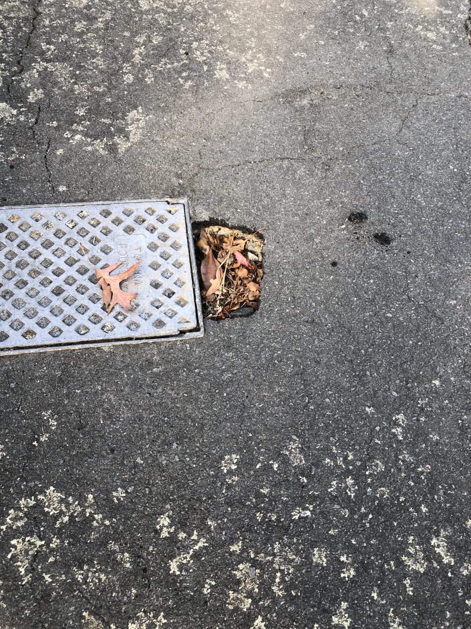 The photograph attached to this roading/streets report