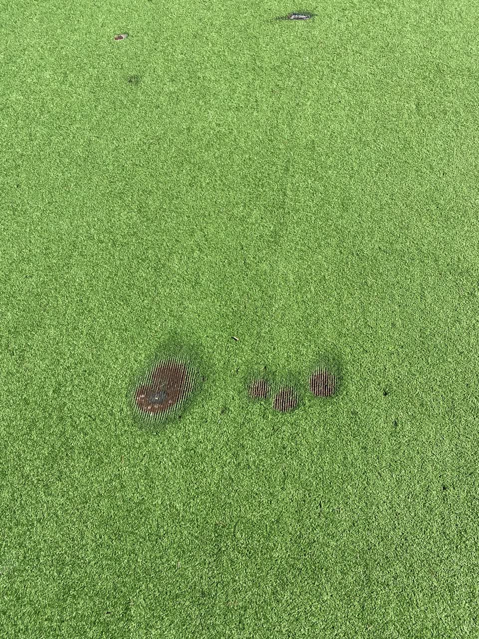 The photograph attached to this parks report