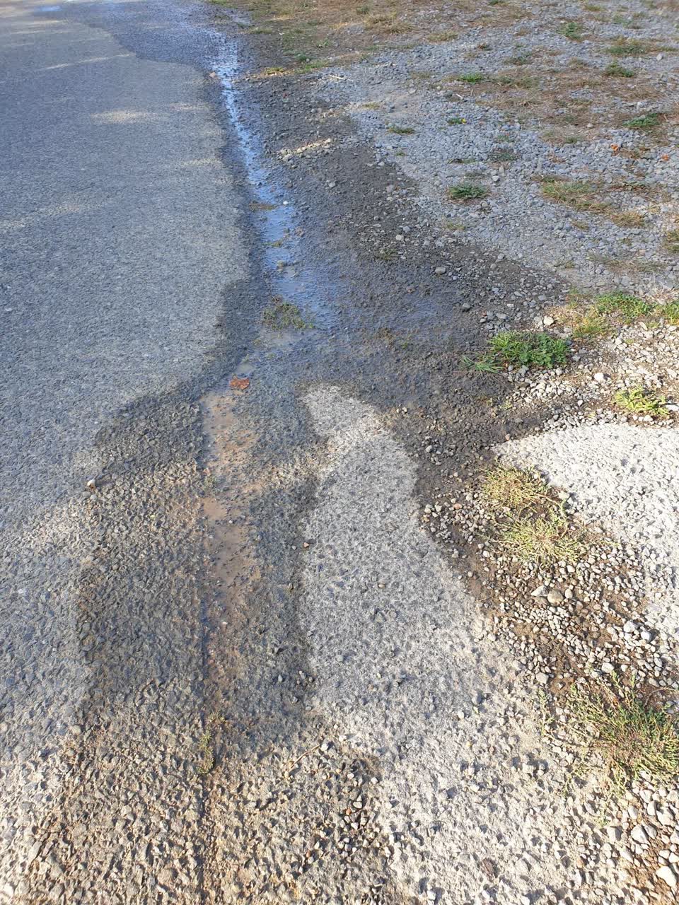 The photograph attached to this water leak report