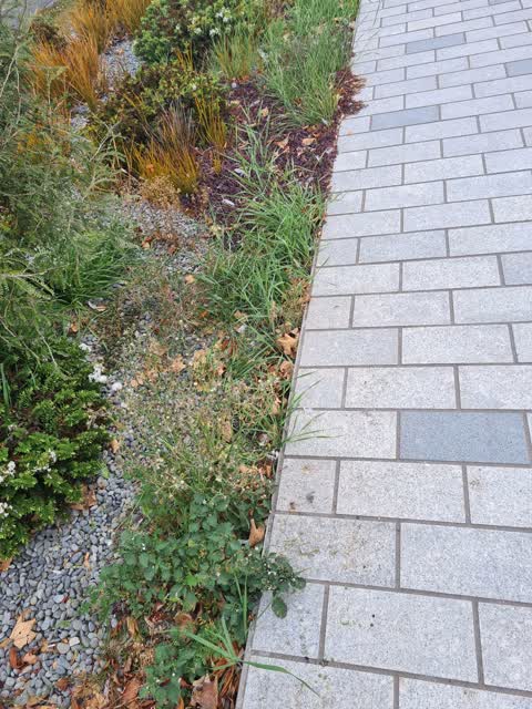 Parks, a report photo