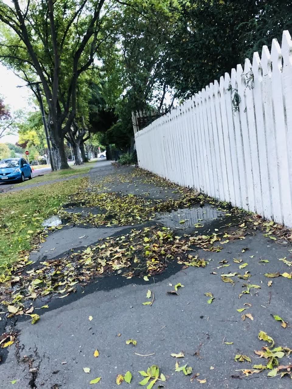 The photograph attached to this water leak report