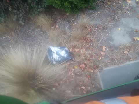 Rubbish/Recycling, a report photo
