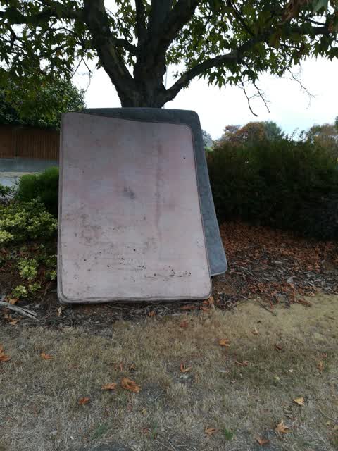 Rubbish/Recycling, a report photo
