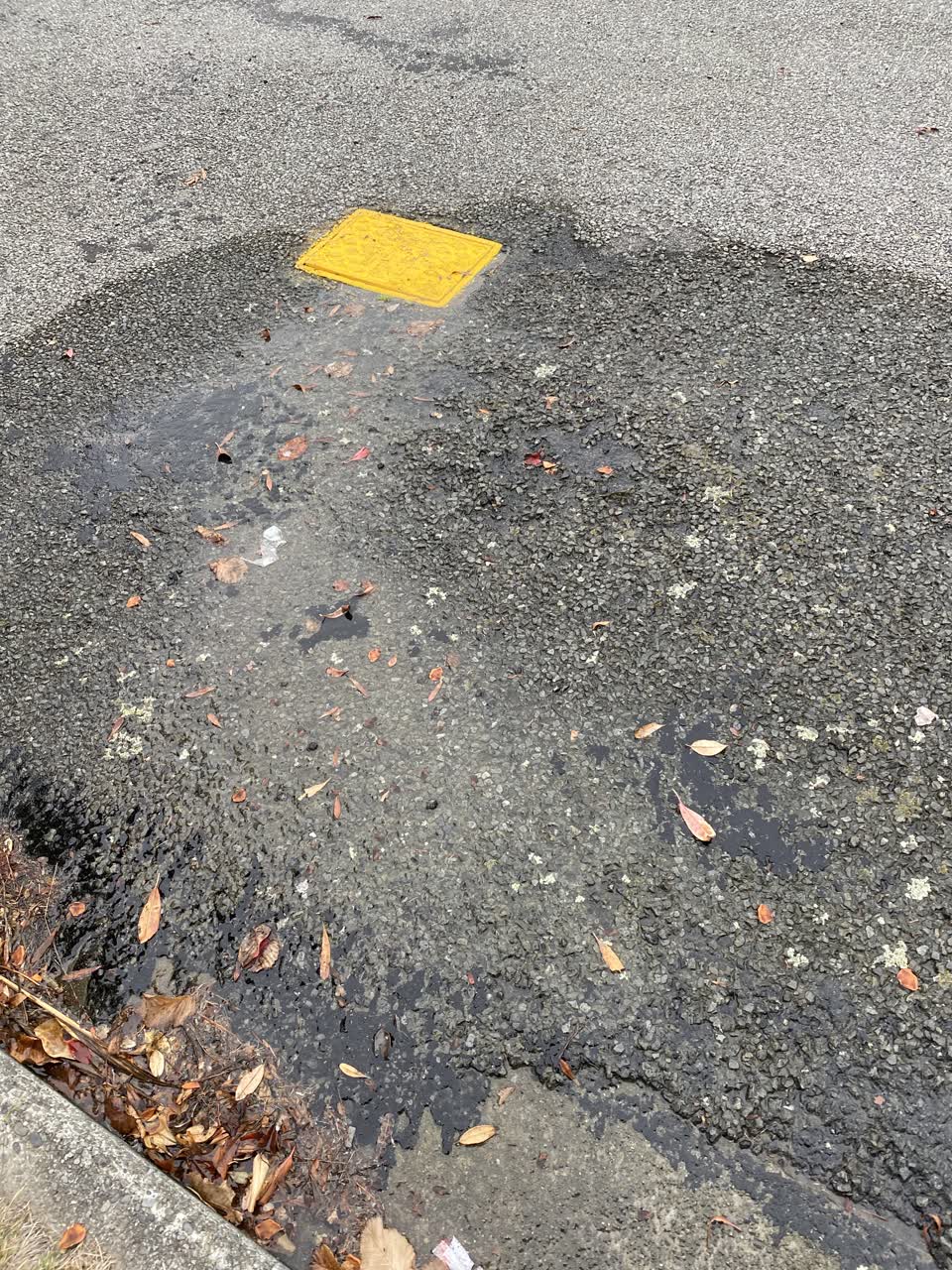 The photograph attached to this water leak report