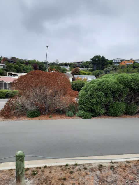Parks, a report photo