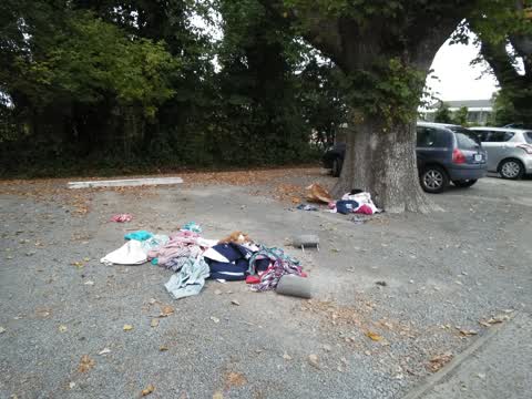 Rubbish/Recycling, a report photo