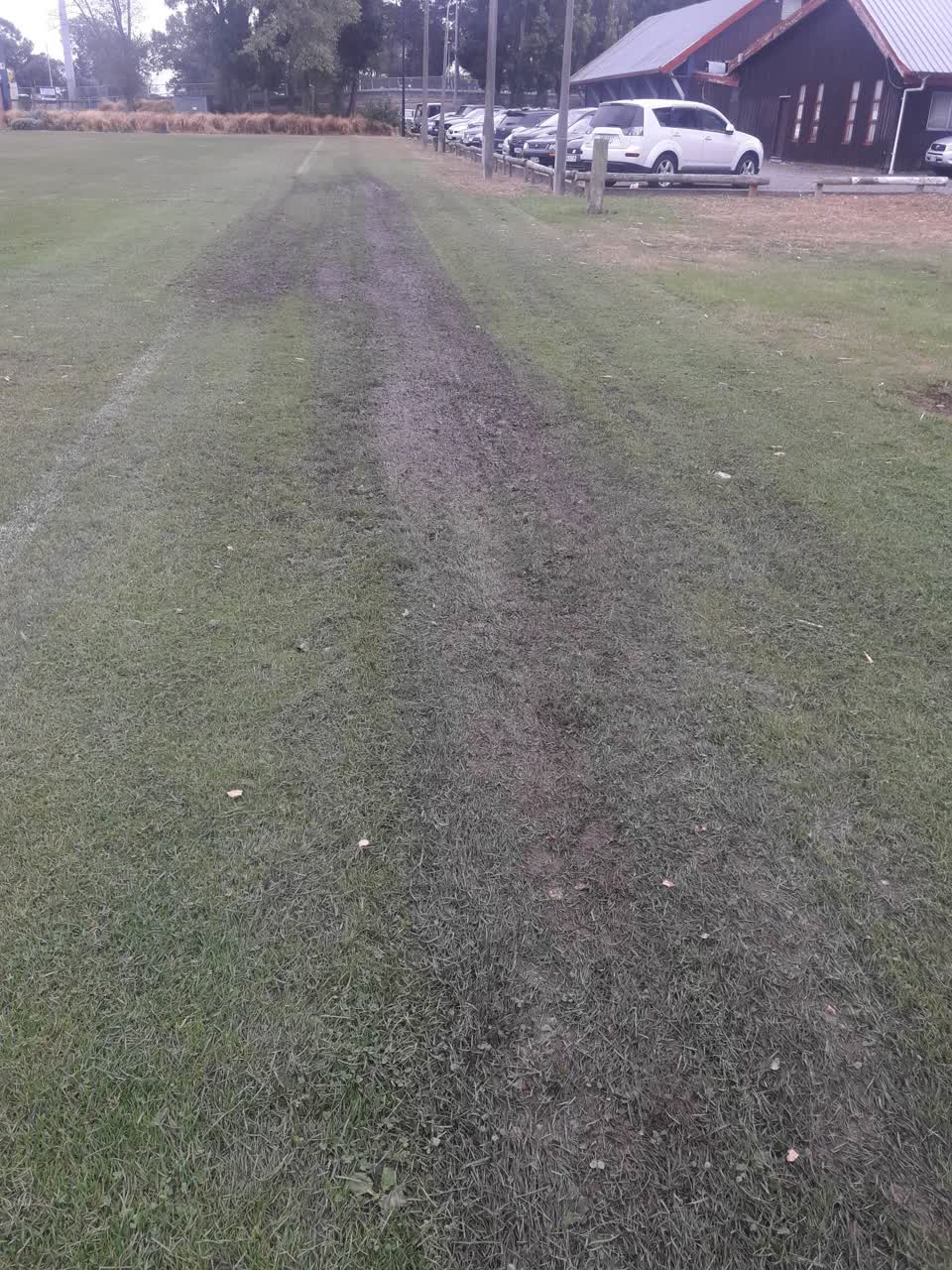 The photograph attached to this parks report
