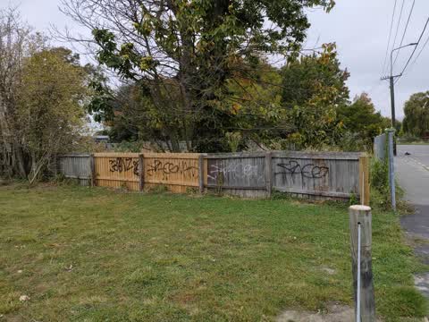 Graffiti — a report photo