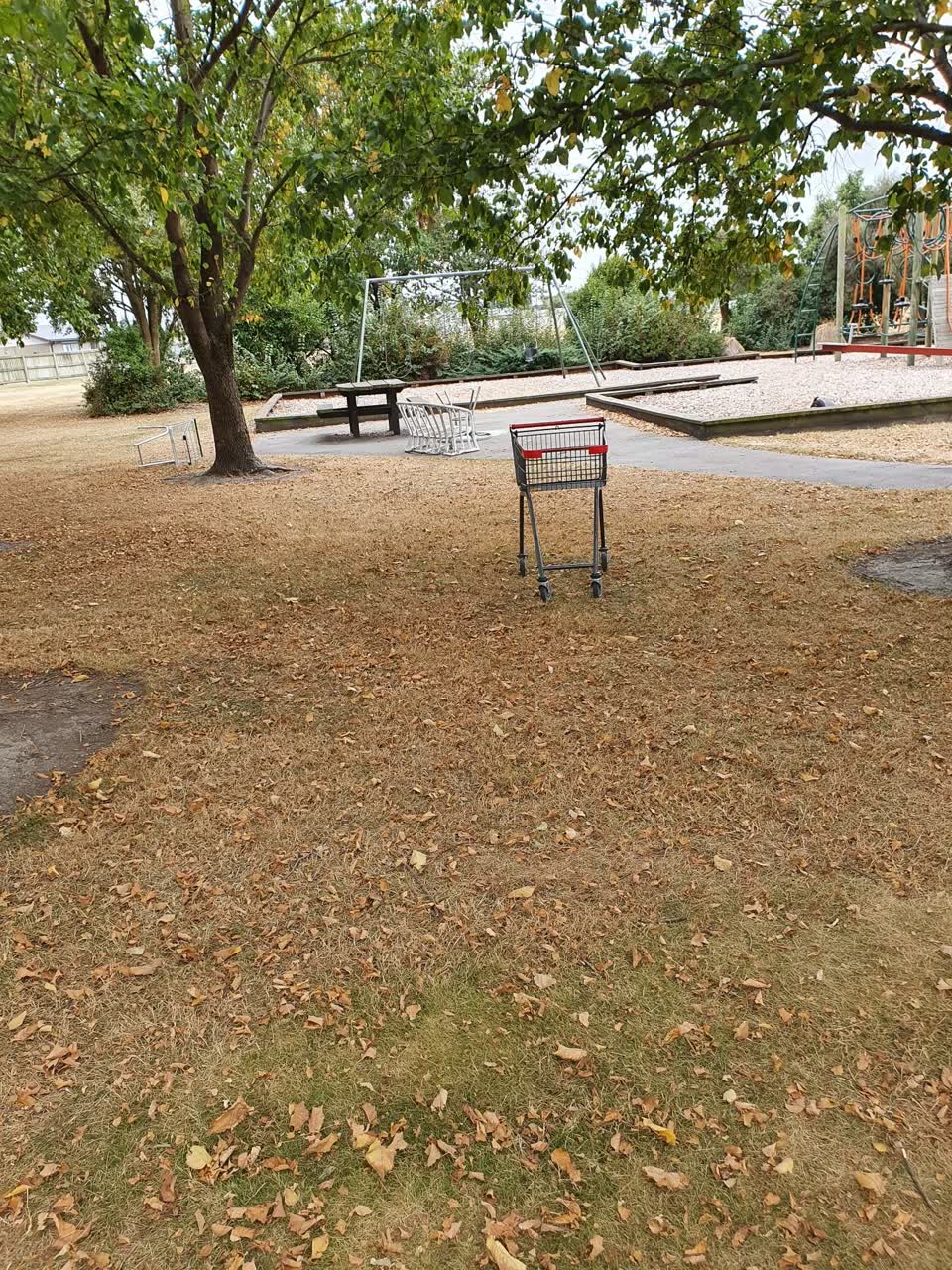 The photograph attached to this parks report