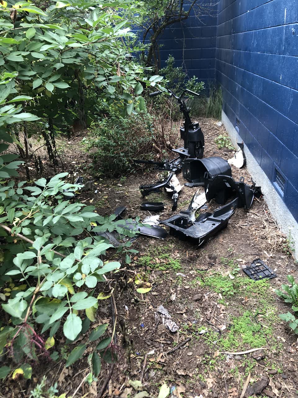 The photograph attached to this parks report