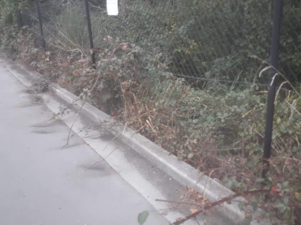 The photograph attached to this parks report