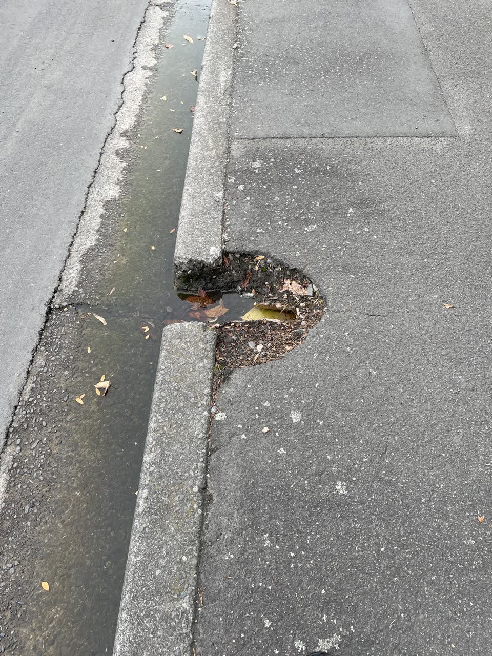 The photograph attached to this roading/streets report