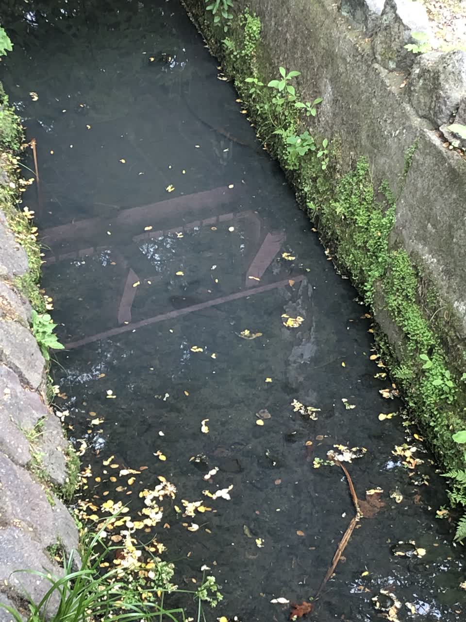 The photograph attached to this wastewater/stormwater report