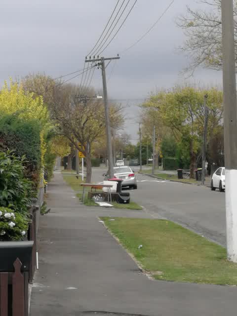 Rubbish/Recycling, a report photo