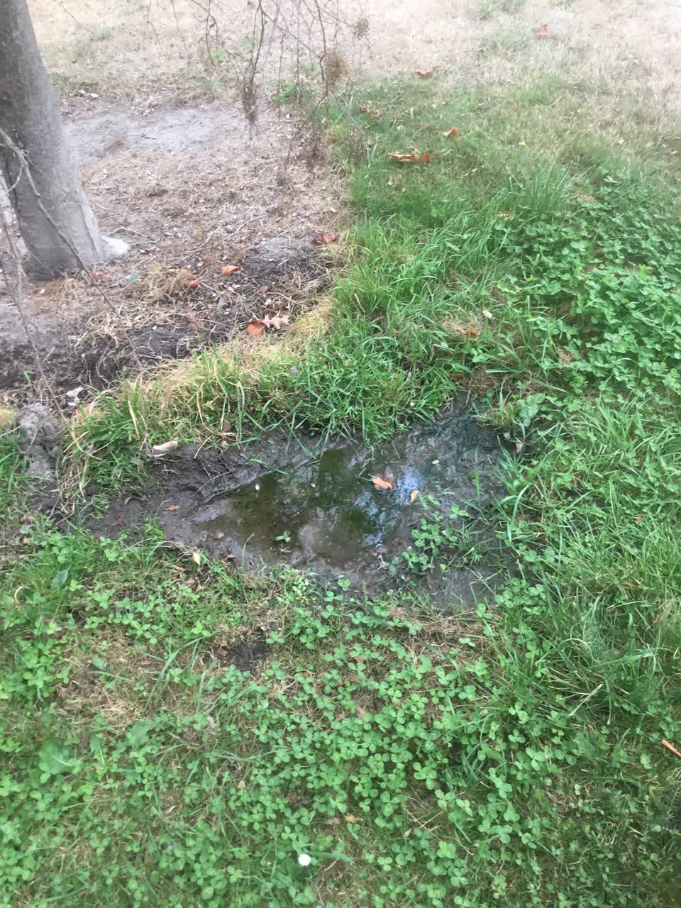 The photograph attached to this water leak report