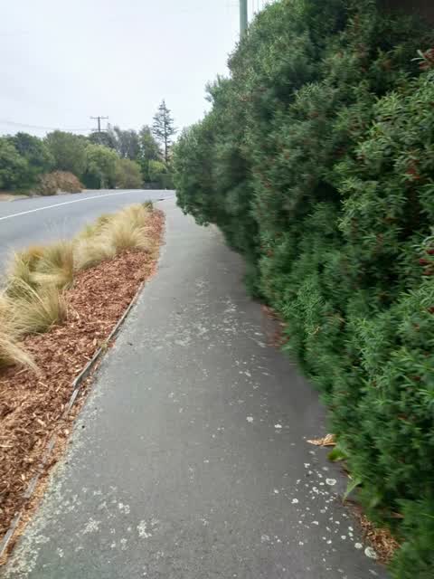 Roading/Streets, a report photo