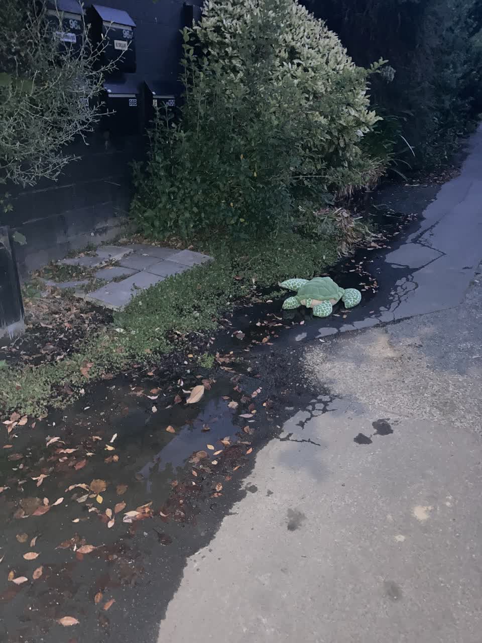 The photograph attached to this water leak report