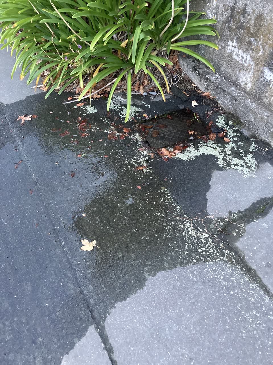 The photograph attached to this water leak report