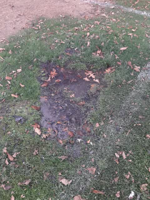 Parks — a report photo