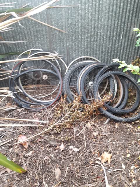 Rubbish/Recycling, a report photo