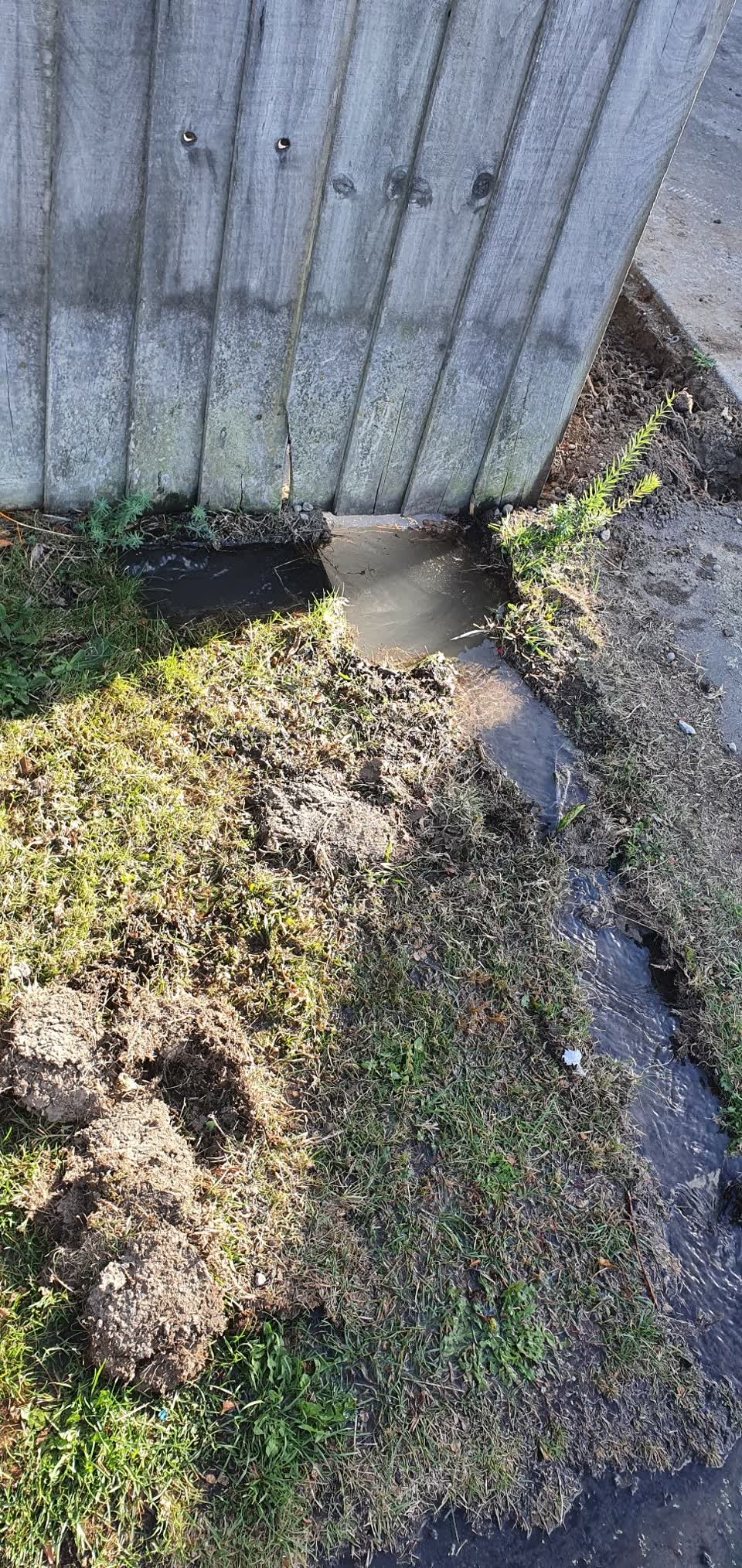 The photograph attached to this water leak report