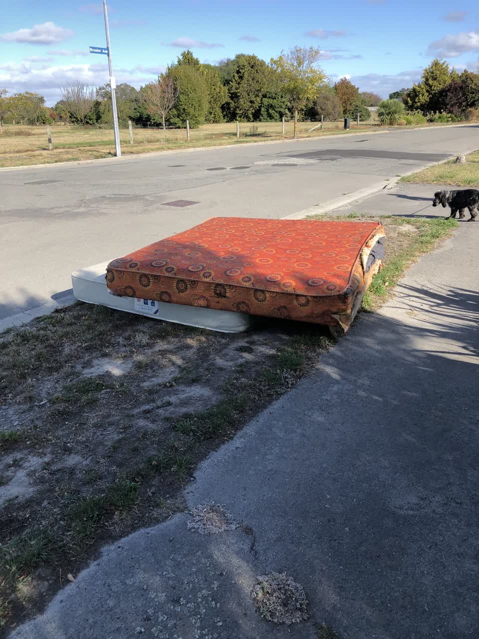The photograph attached to this roading/streets report