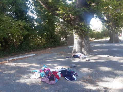 Rubbish/Recycling, a report photo