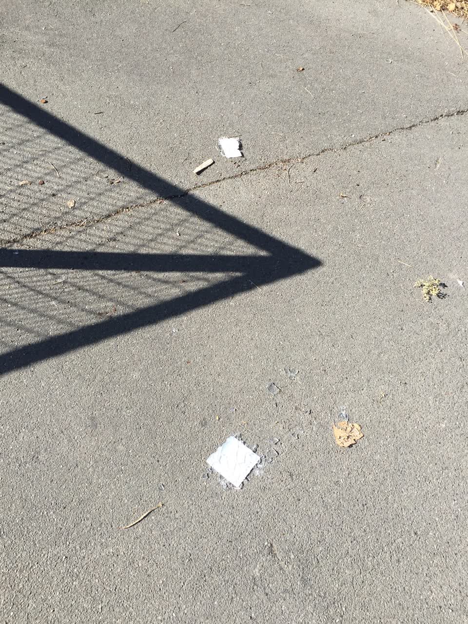 The photograph attached to this parks report