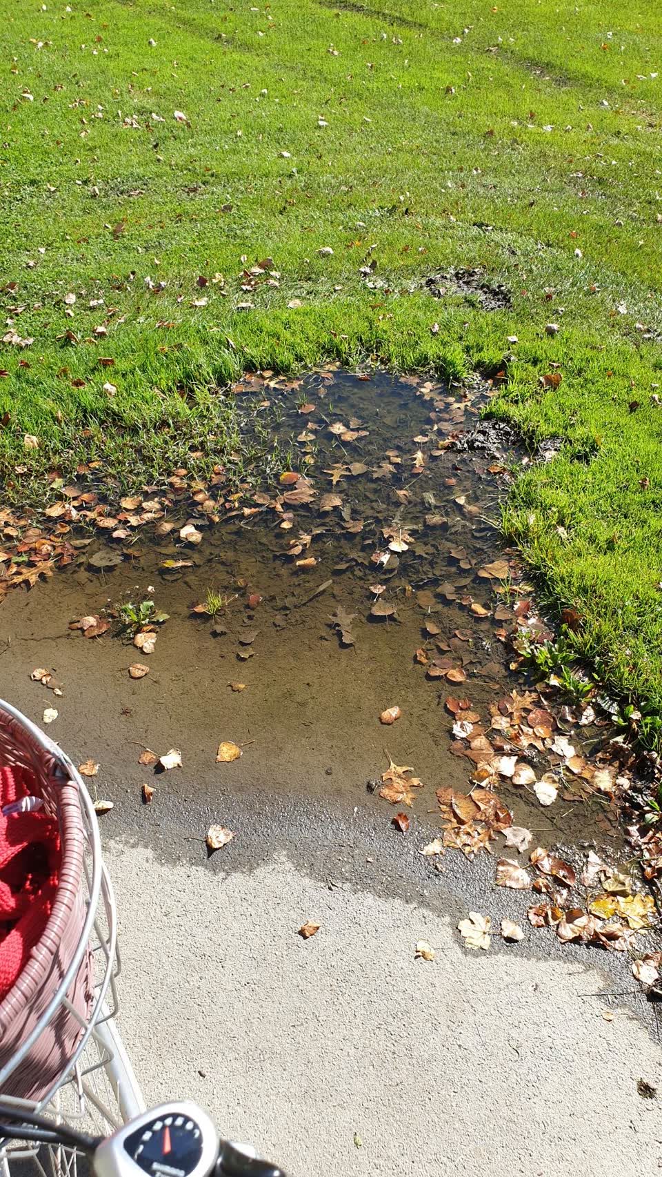 The photograph attached to this parks report