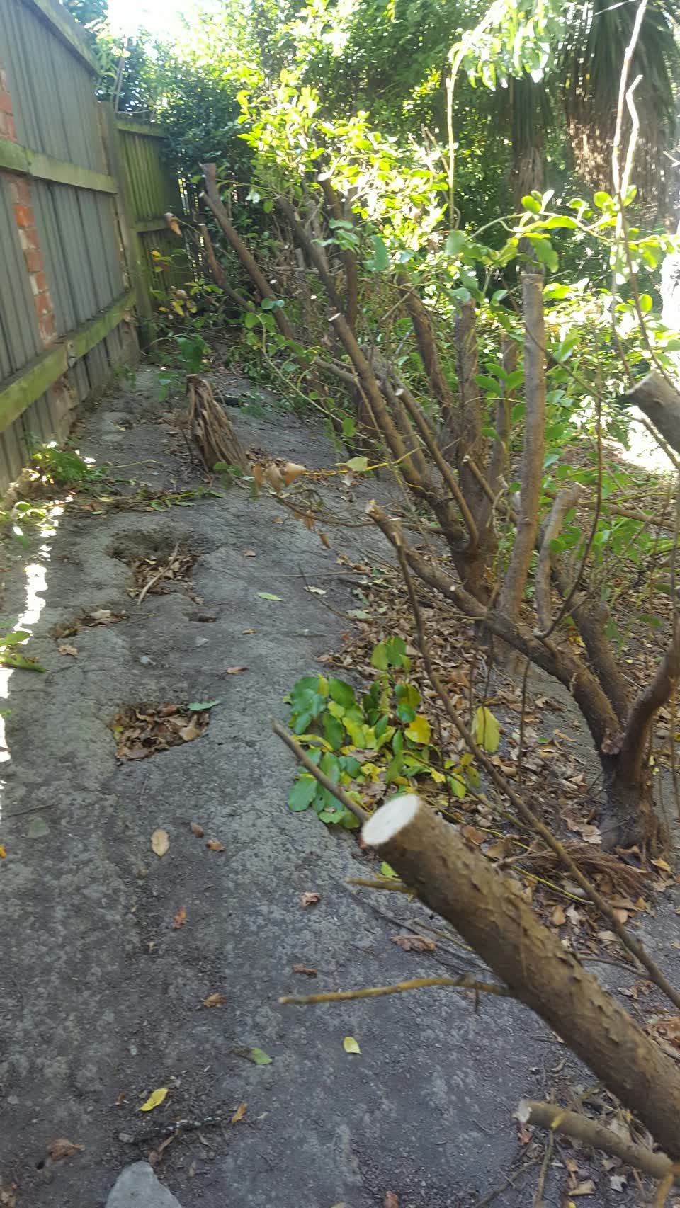 The photograph attached to this parks report