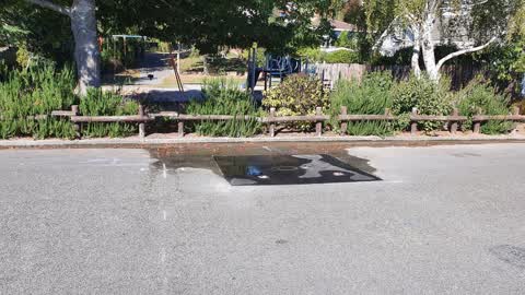 Water Leak, a report photo
