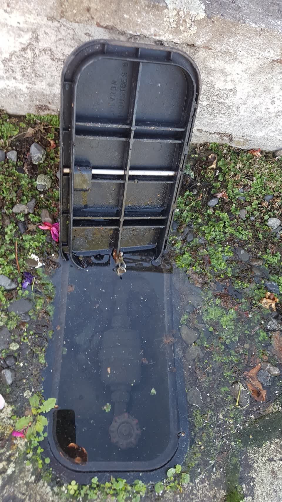The photograph attached to this water leak report