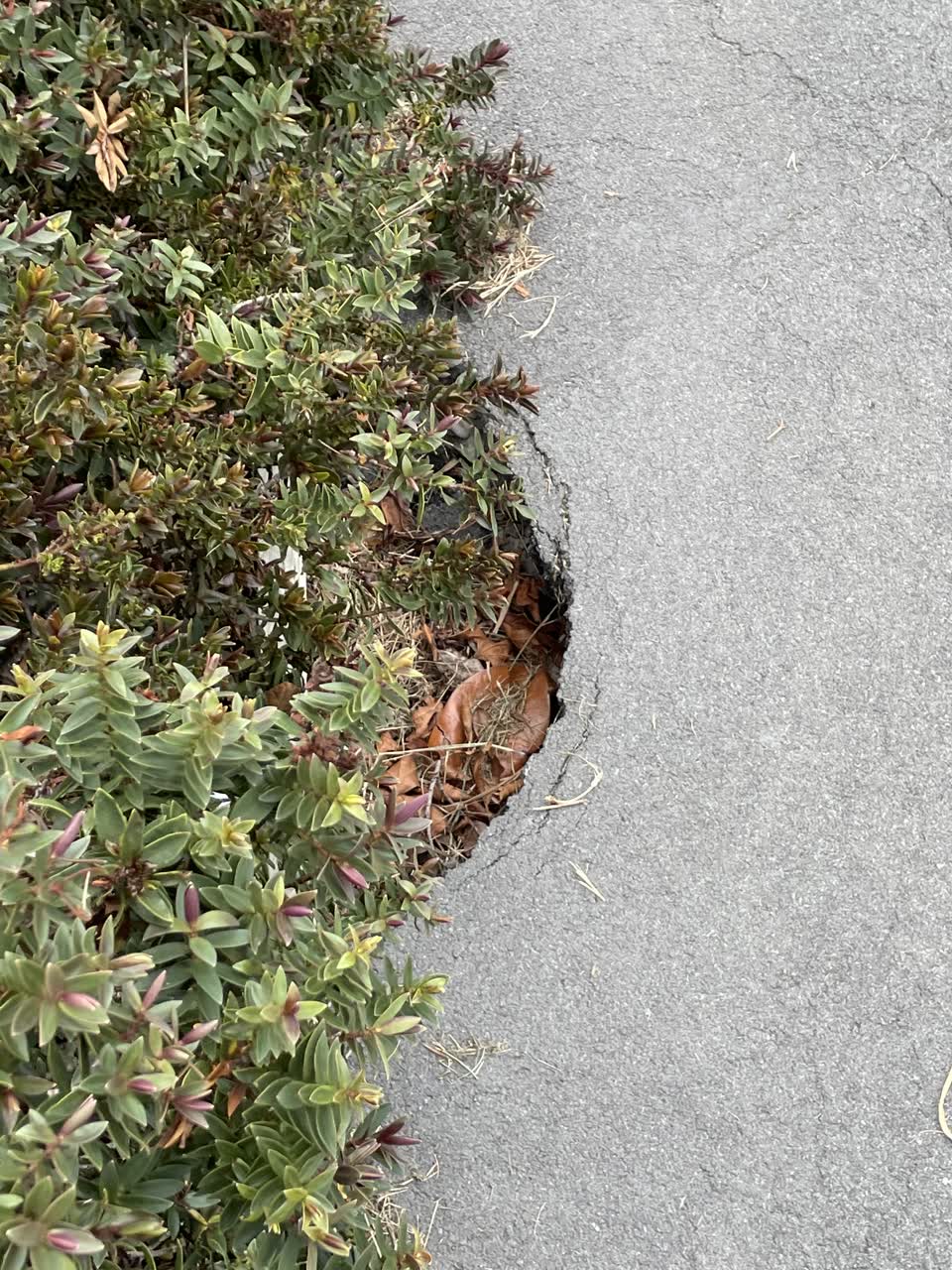 The photograph attached to this roading/streets report