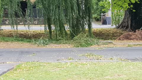 Parks, a report photo